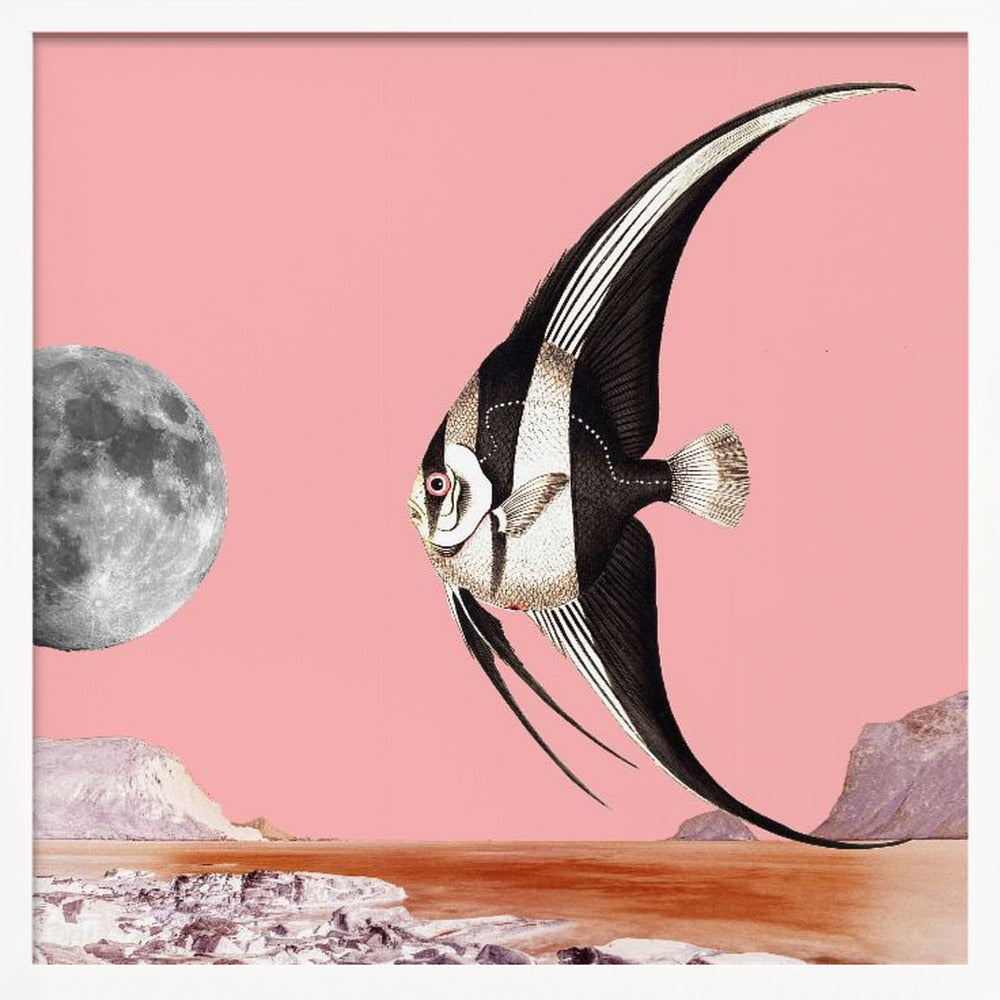 Plenty of Fish In the Sea Pink - Surreal Collage Poster