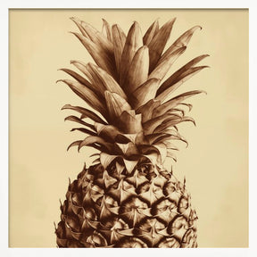 Pineapple Poster