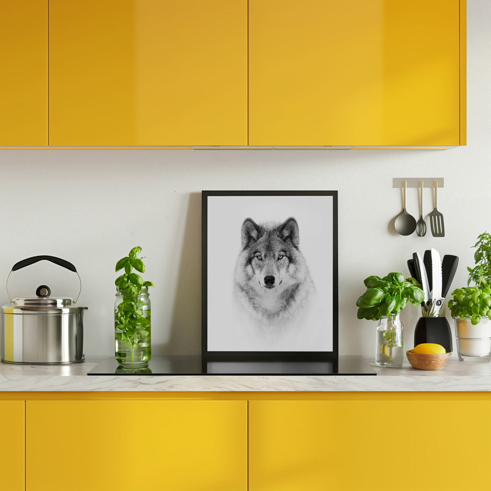 Portrait of a Timber Wolf Poster