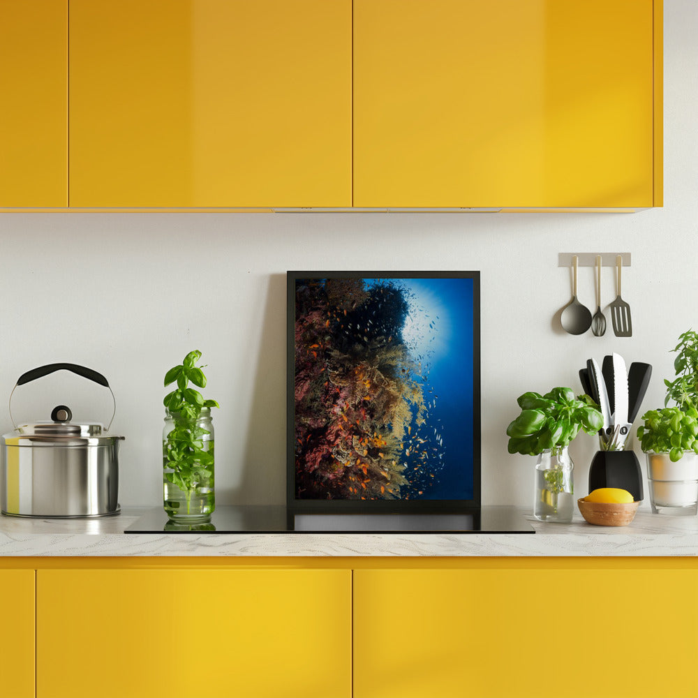 Life explosion Poster