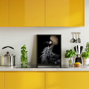 Crowned crane's portrait Poster