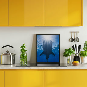 Whale shark and sun Poster