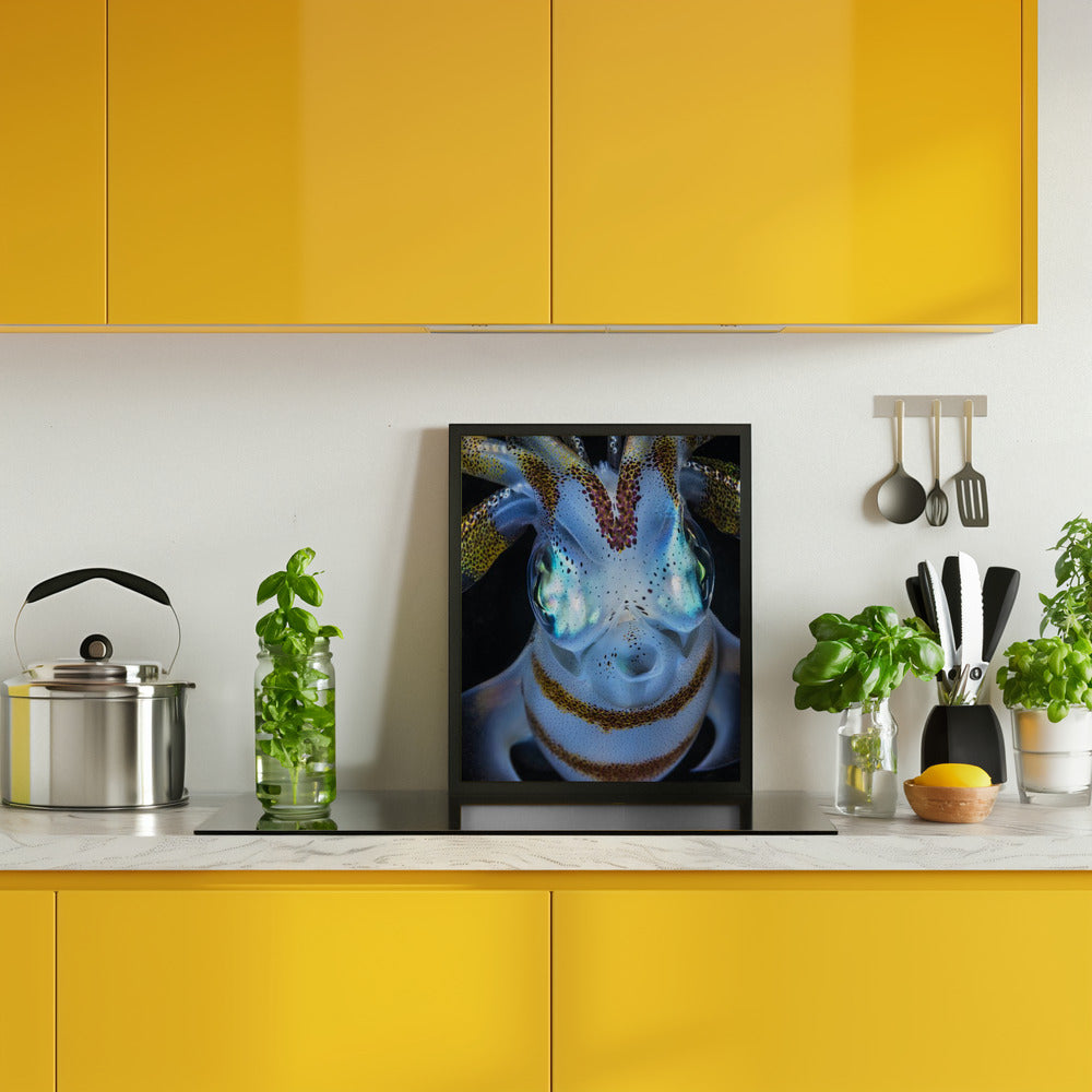 Squid close up Poster