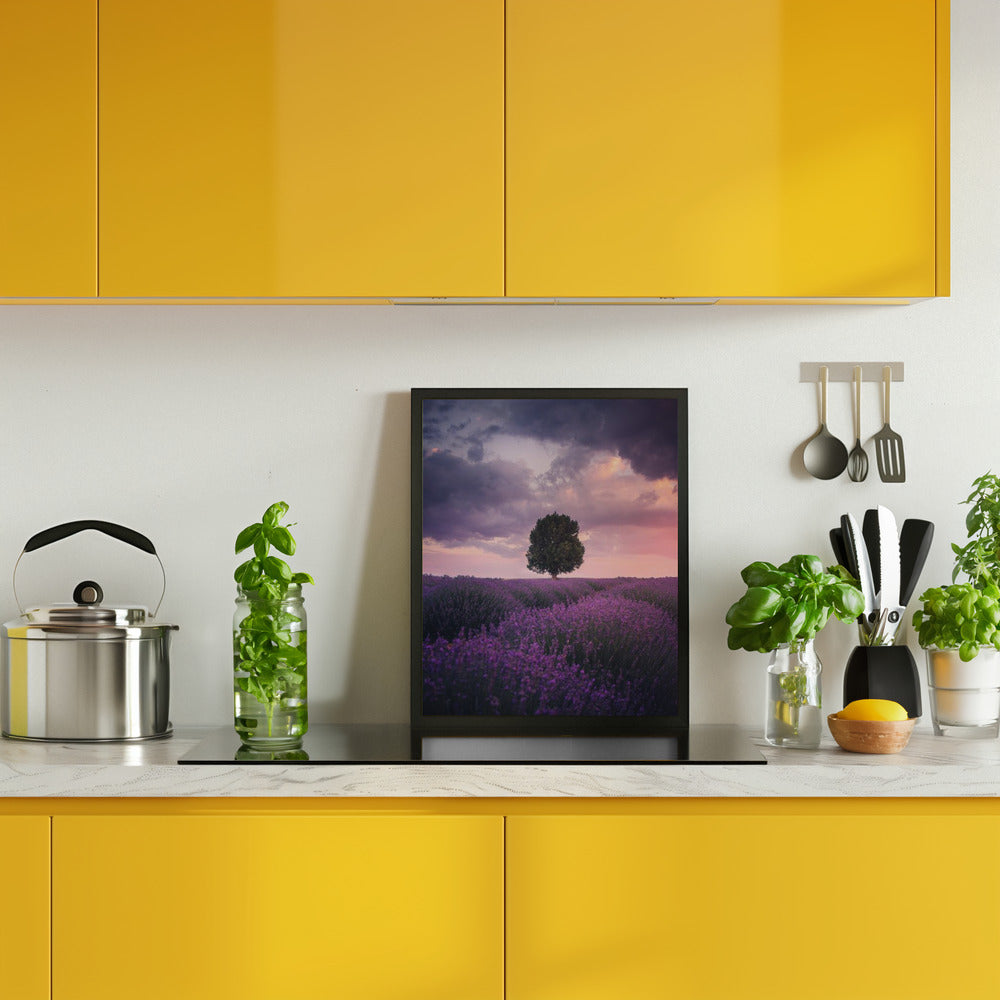 Lavender Fields, Isparta Poster