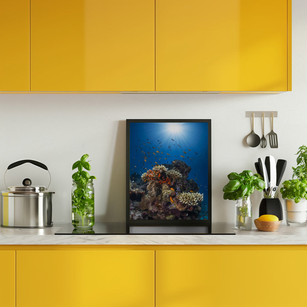 Reef and sunshine Poster