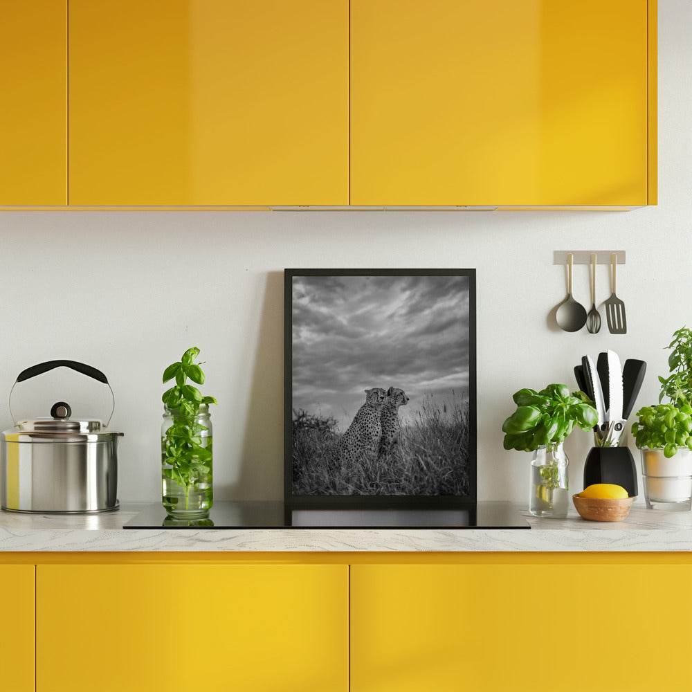 CHEETAH DREAMS Poster