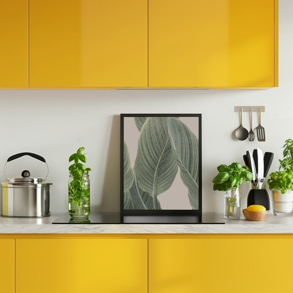 Calla Leaf Poster