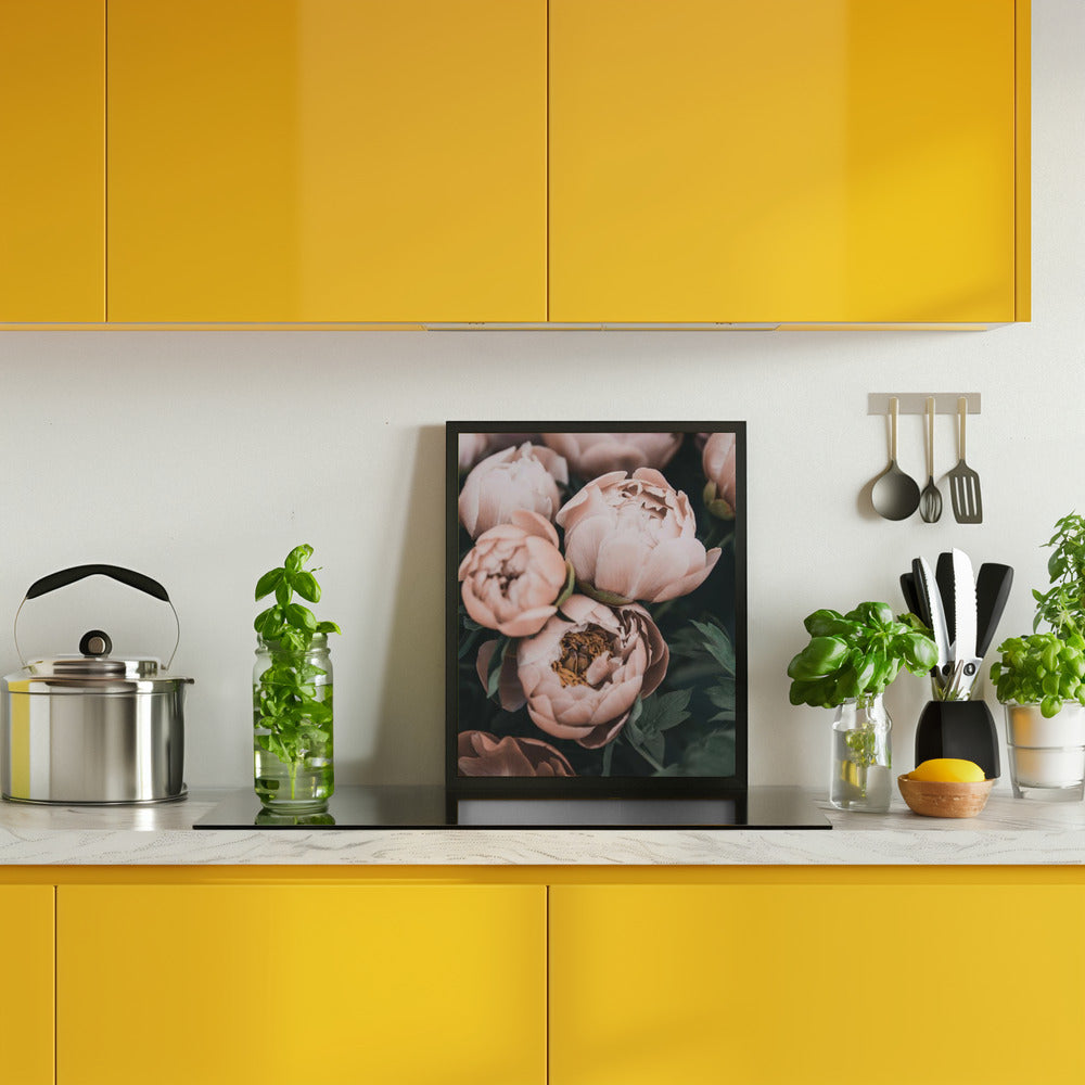 Coral Peonies Poster