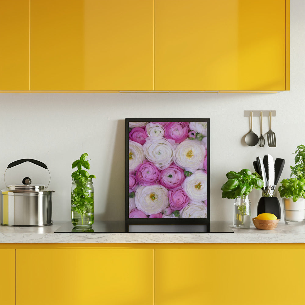 Scattered ranunculus in pink I Poster