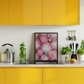 Subdued blush ranunculus Poster