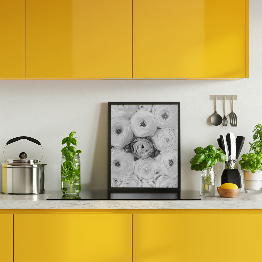 Singular ranunculus gray Poster