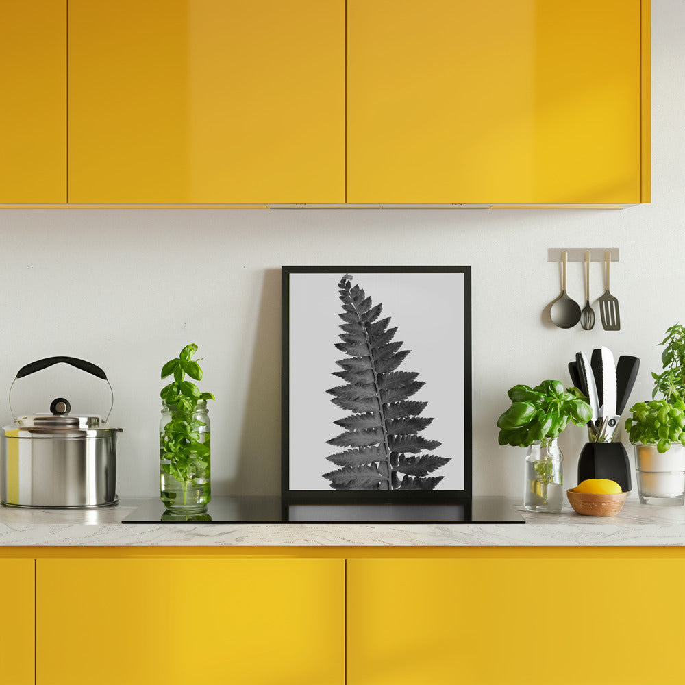 Gray fern leaf Poster