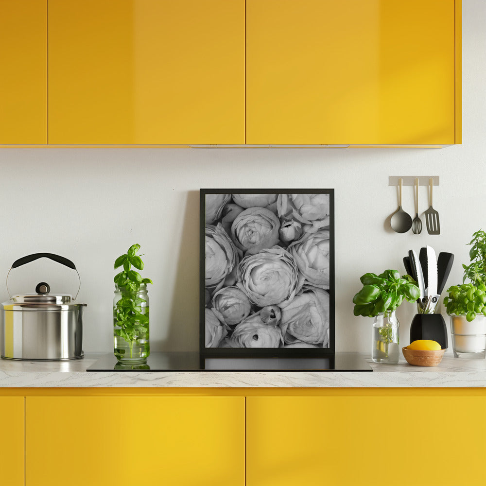 Gray ranunculus Poster