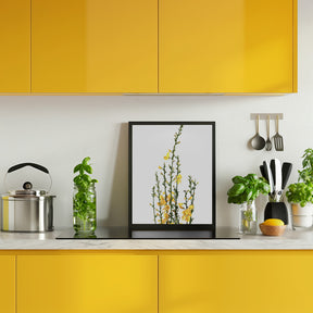 Yellow blooms Poster