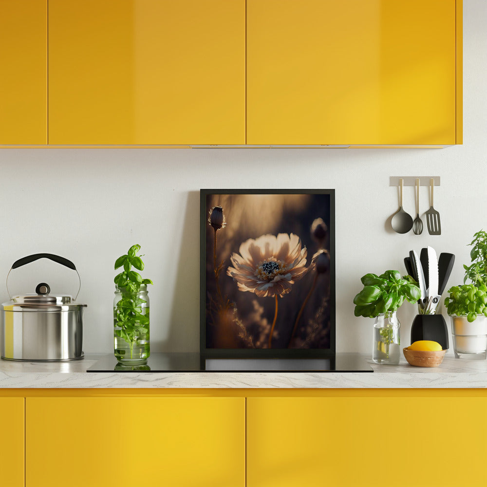 Flower in Morning Sun Poster