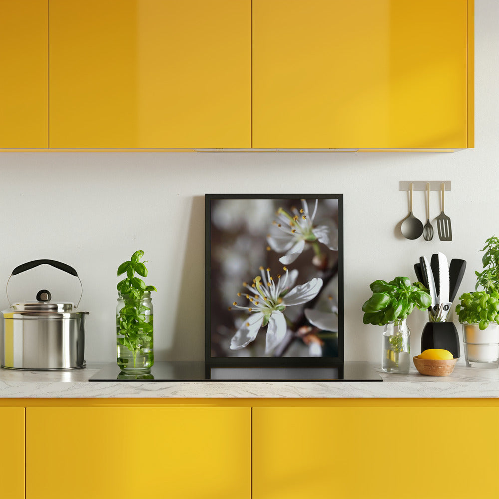 Spring blooms I Poster