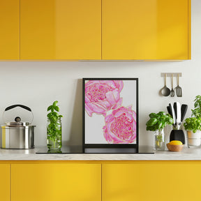 Sally's peonies Poster