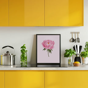 Peony statement Poster