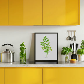 Parsley I Poster