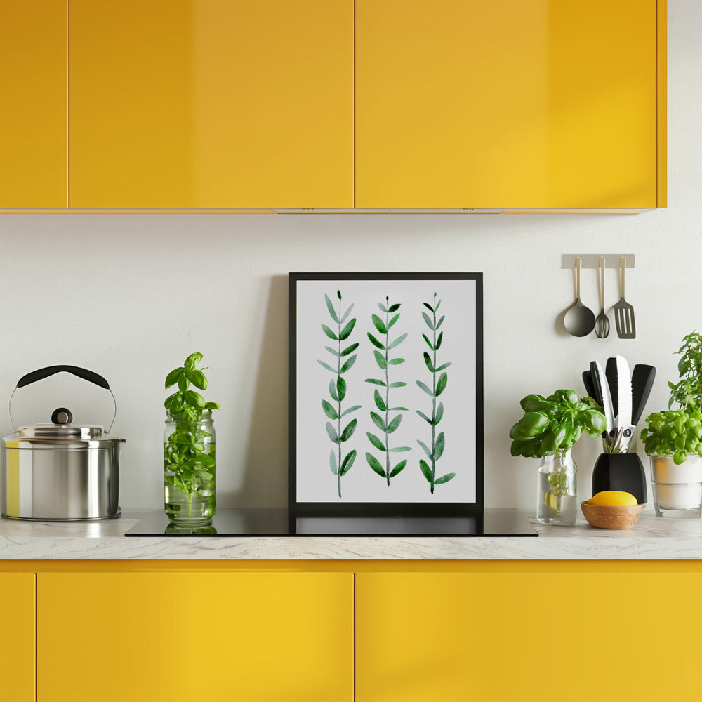 Watercolor eucalyptus parvifolia Poster