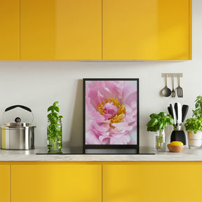 Pink peony I Poster