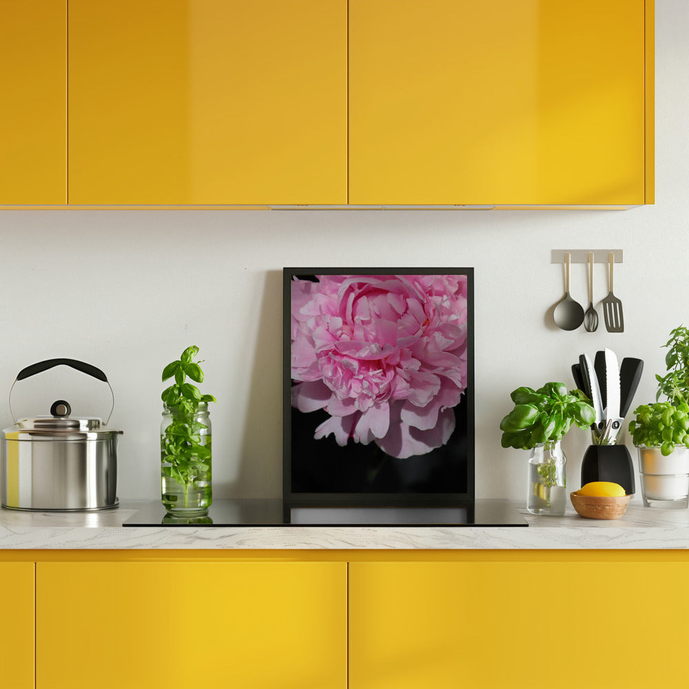 Pink peony V Poster