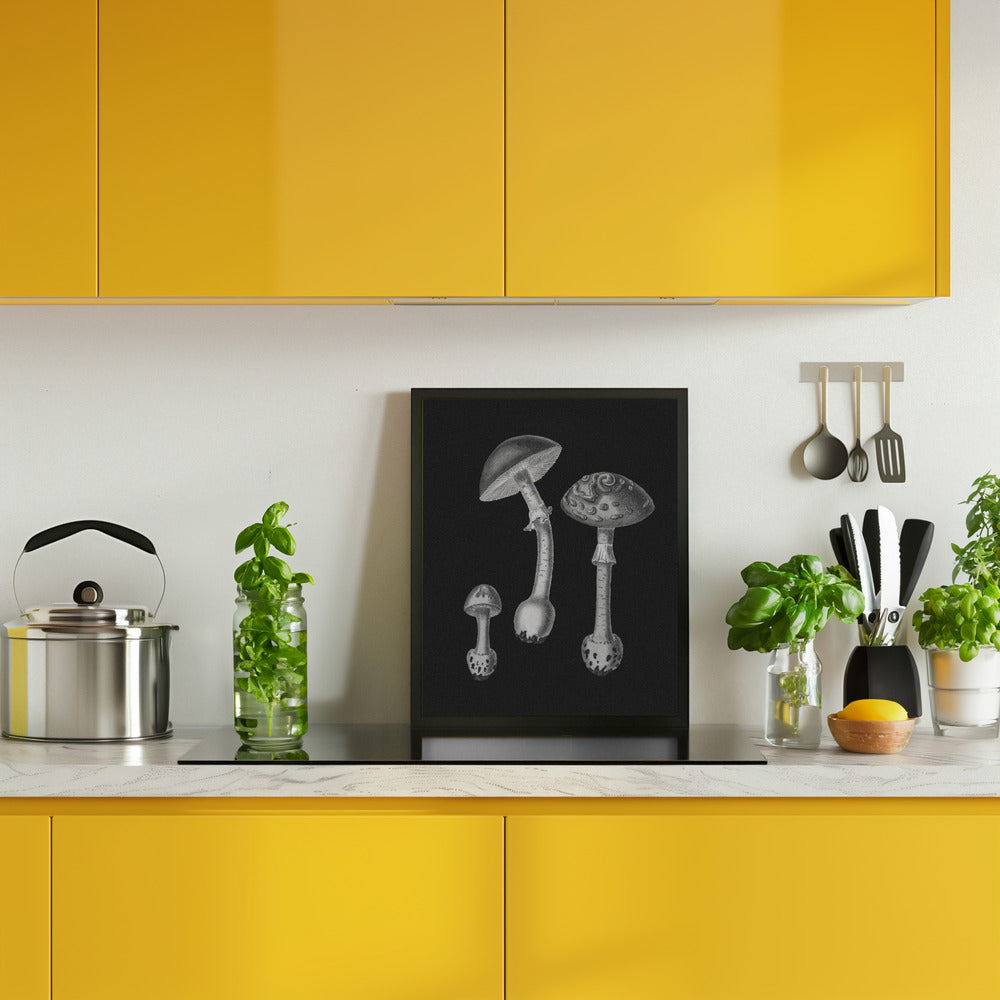 Amanita Muscaria  Black Backgound BW Poster