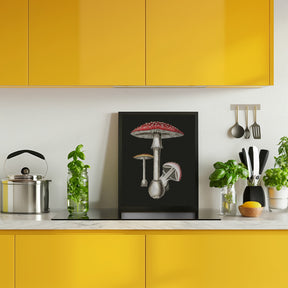 Amanita Muscaria Dark Background Poster