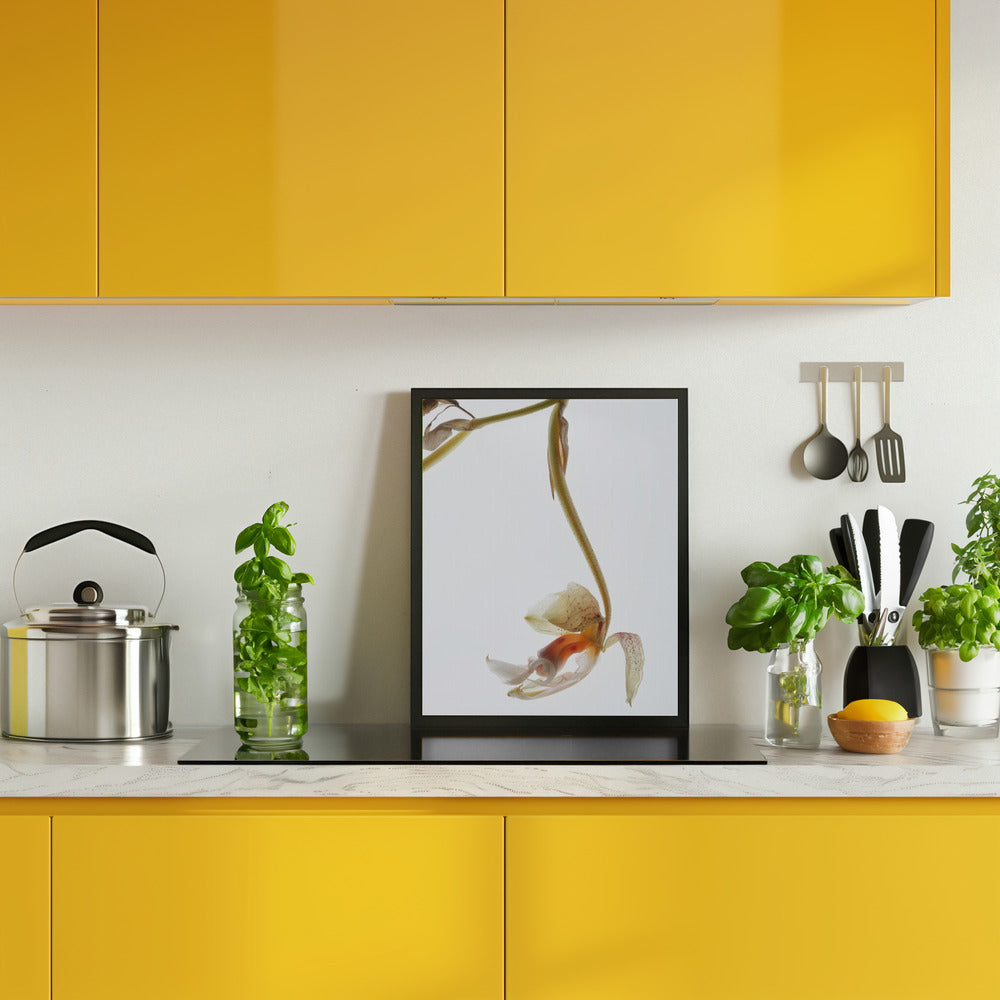 Arch Angle No1 Poster