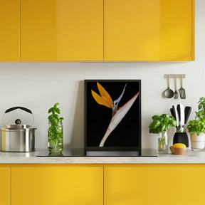 Bird of Paradise Poster