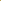Cycad Poster