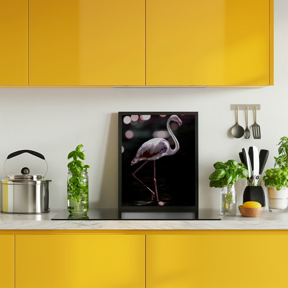 Dancing Flamingo Poster