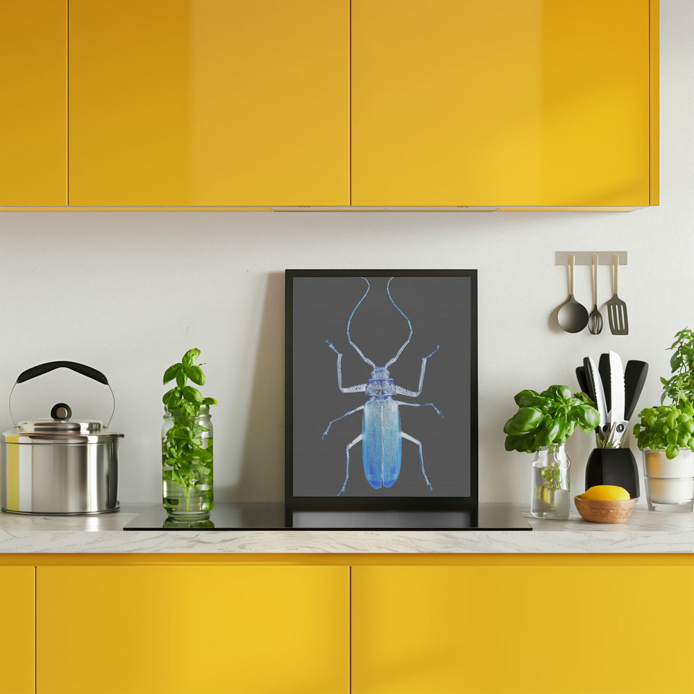 Insect Evolution Poster