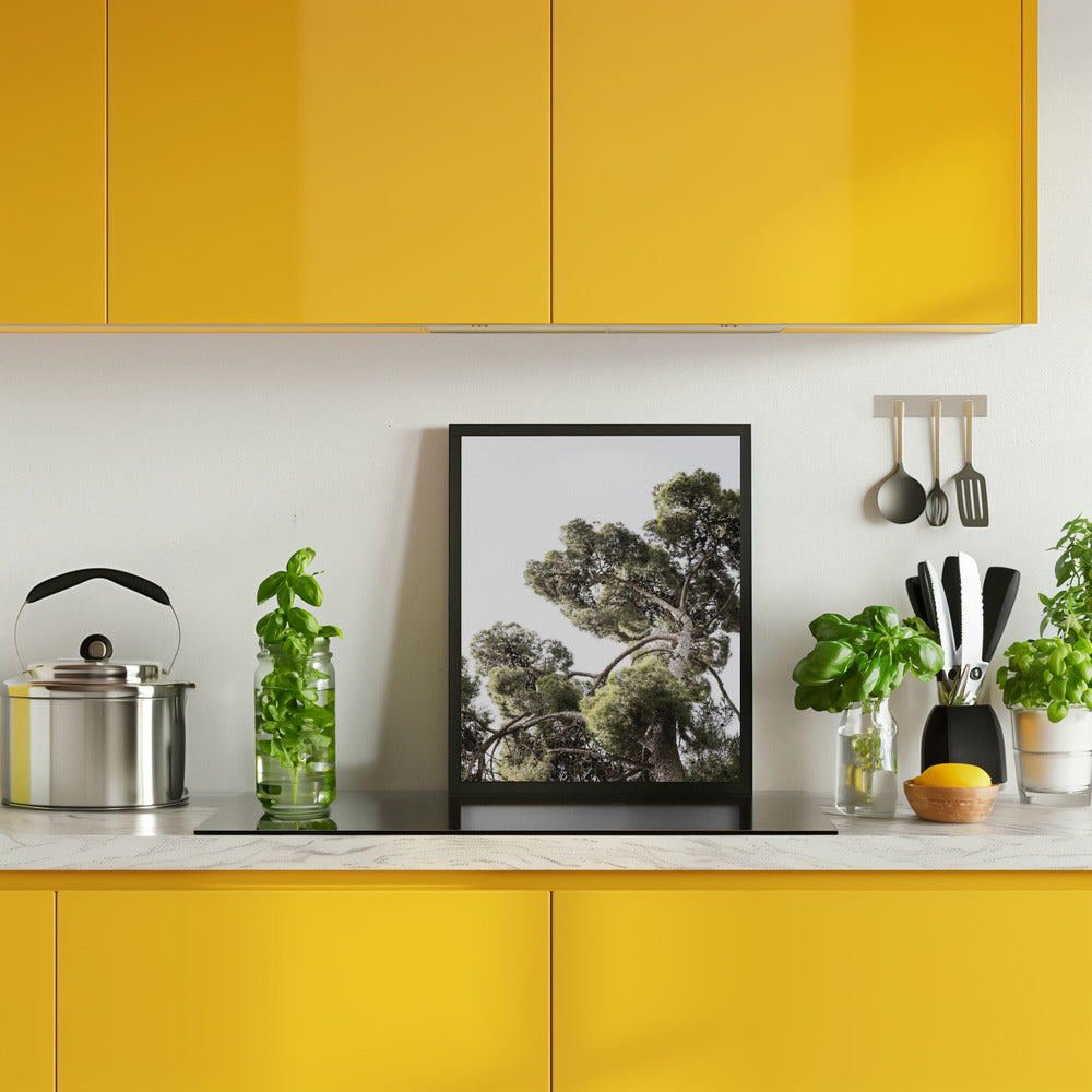 Japanese Garden 01 Poster