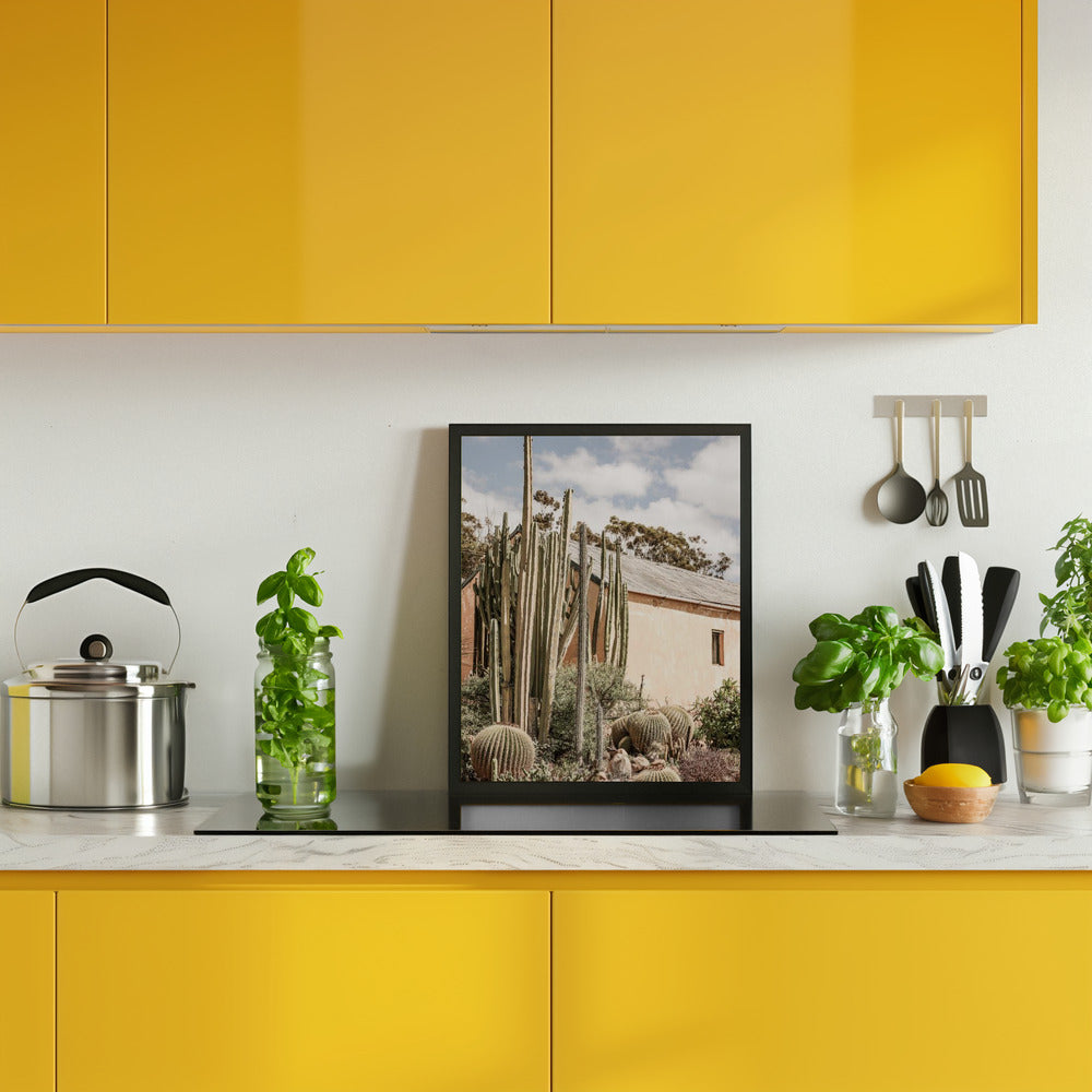 Karoo Garden 02 Poster