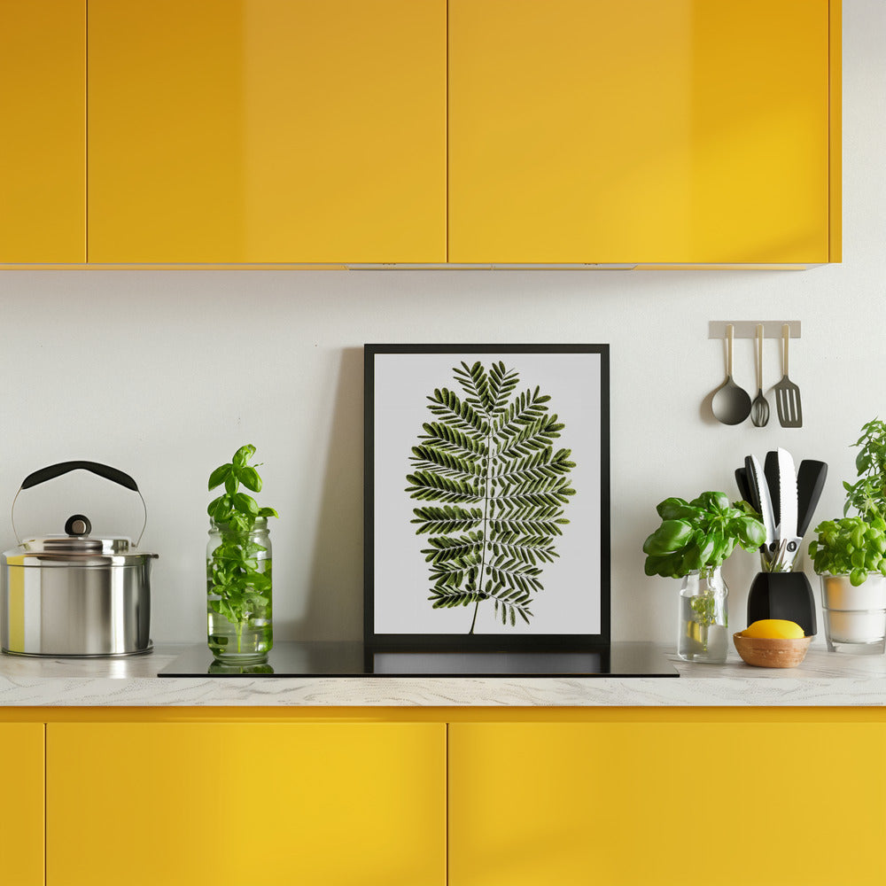 Leaf Study 02 Poster