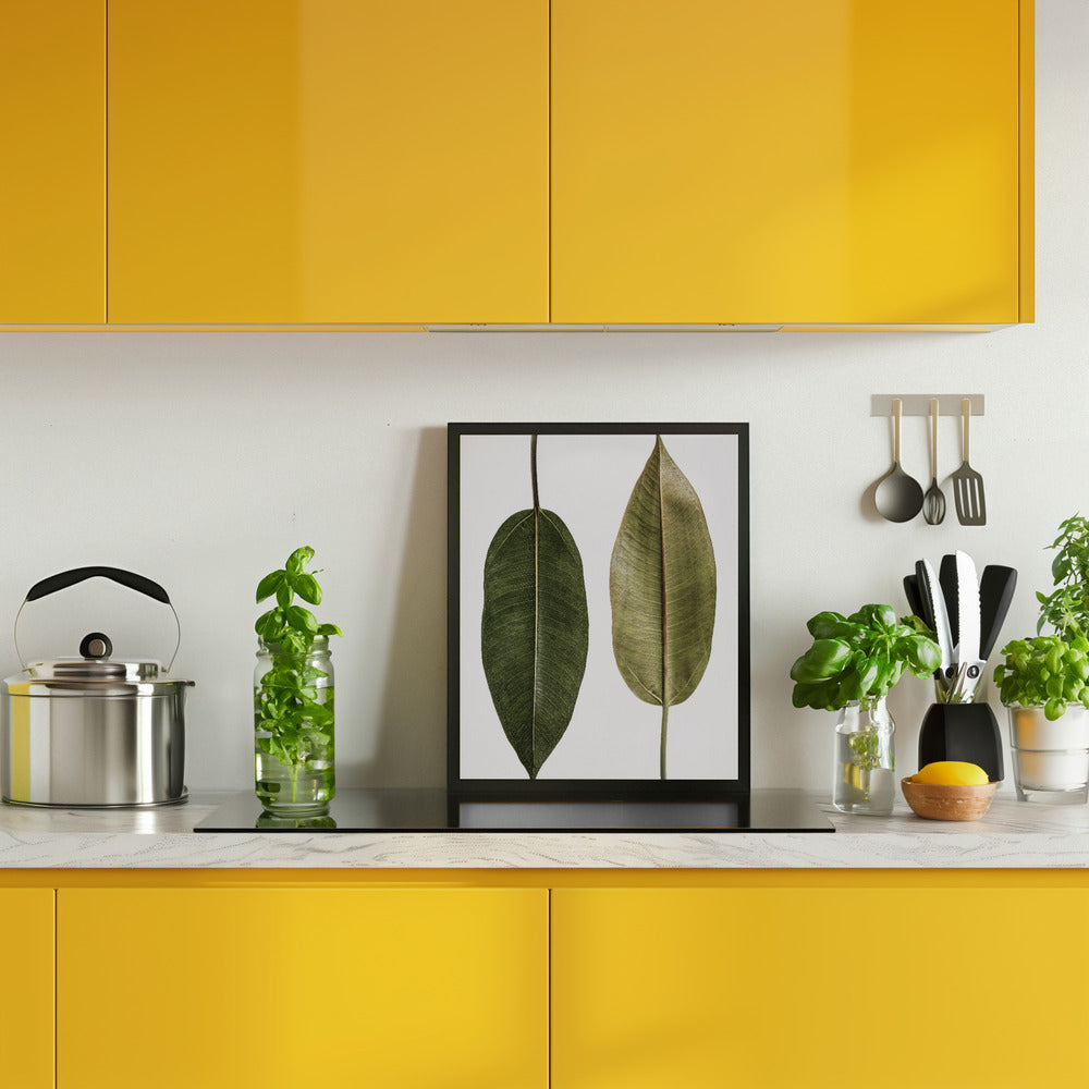 Leaf Study 05 Poster