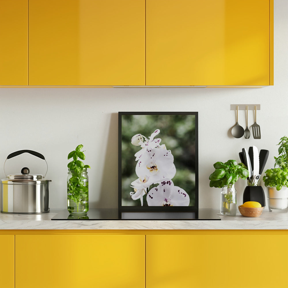 Spring Blooms Poster