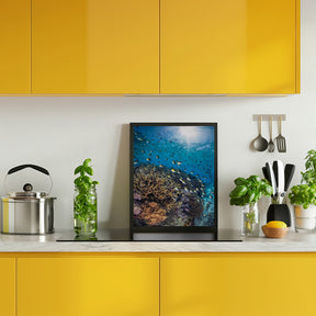 The damselfish against the light Poster