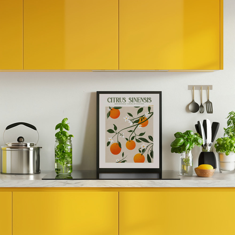 Citrus Sinensis - Orange Poster