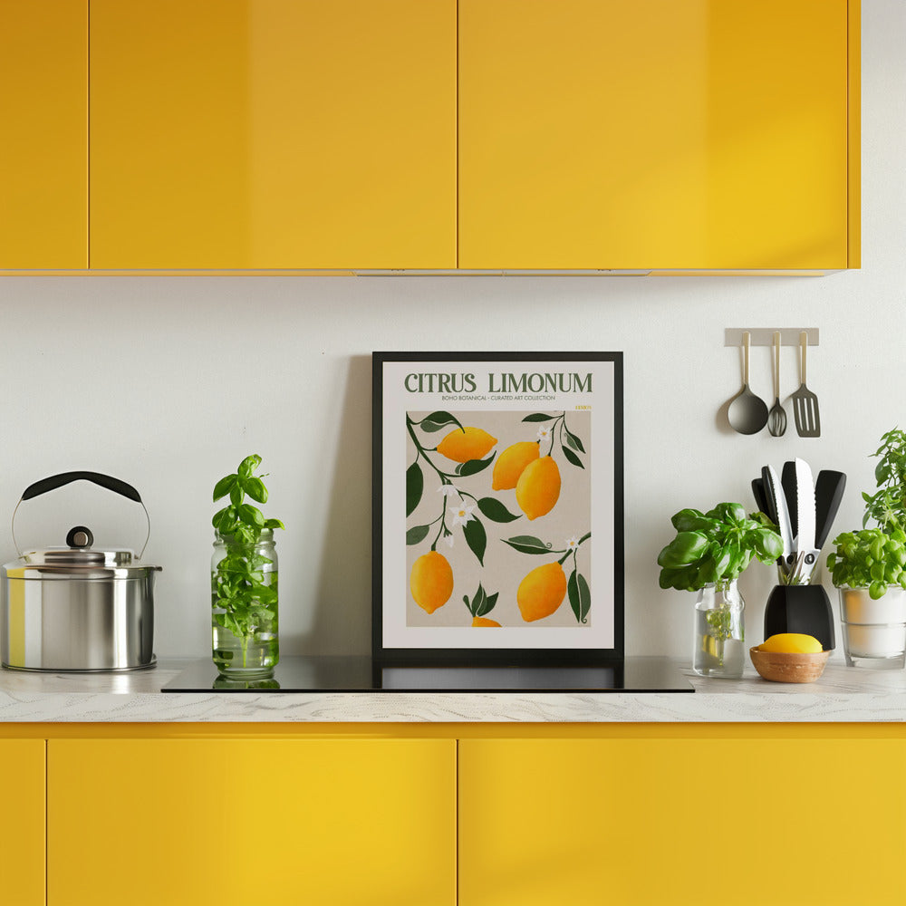 Citrus Limonum - Lemon Poster