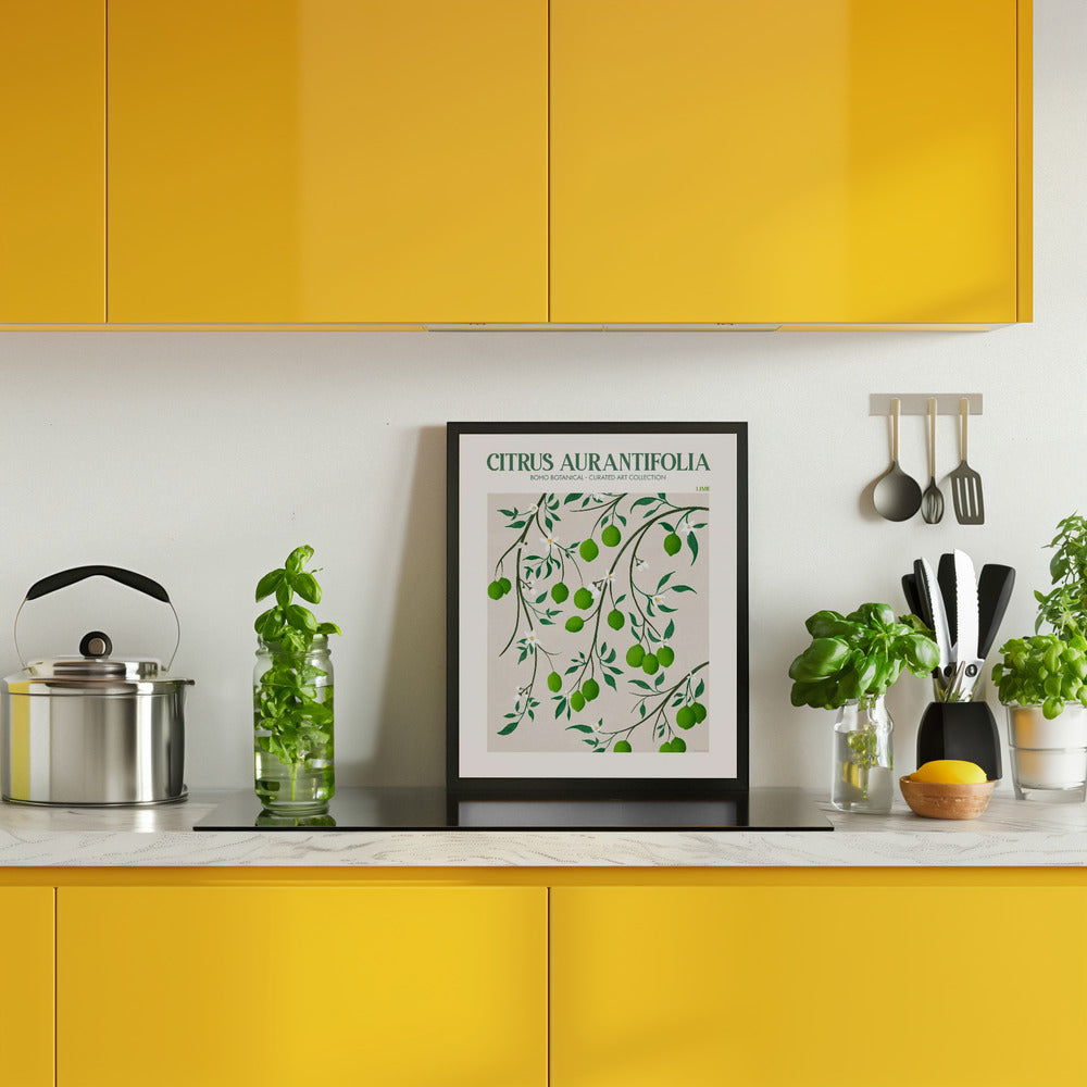 Citrus Aurantifolia - Lime Poster