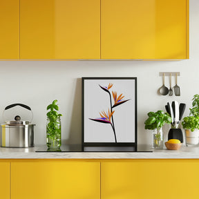 Bird of paradise in black Poster