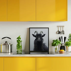 Mountain Goat Poster