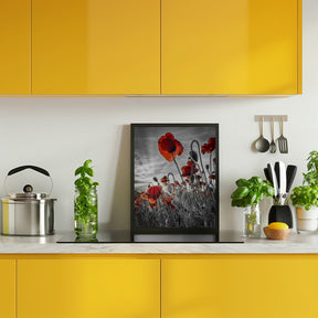 Fascinating poppies | colorkey Poster