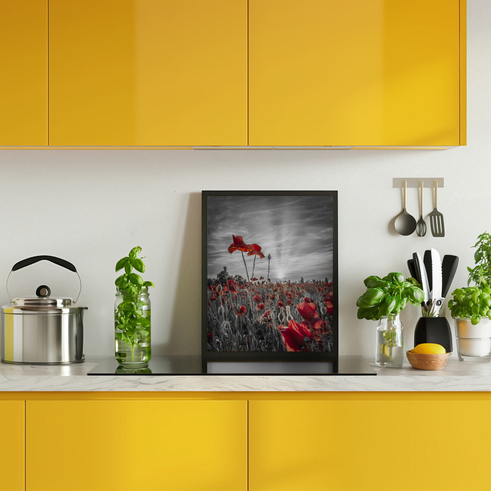 Poppies in sunset | colorkey Poster