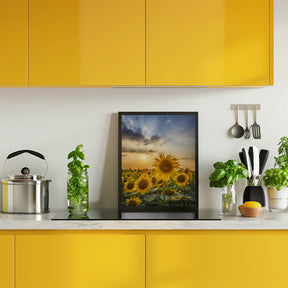 Sunset with beautiful sunflowers Poster