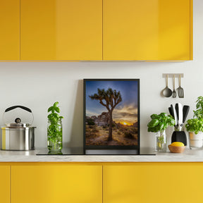 Charming sunset at Joshua Tree National Park Poster