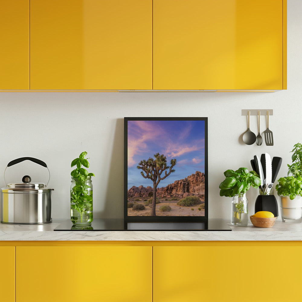 Joshua Tree Evening Atmosphere Poster