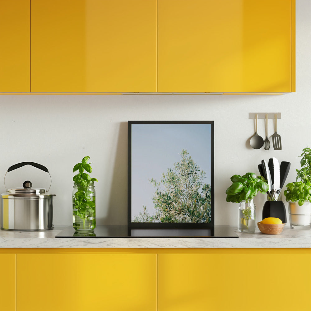 Olives In Ostuni | Italy Travel Photography Poster